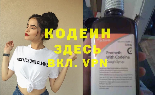 индика Каменск-Шахтинский