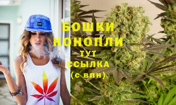 индика Каменск-Шахтинский