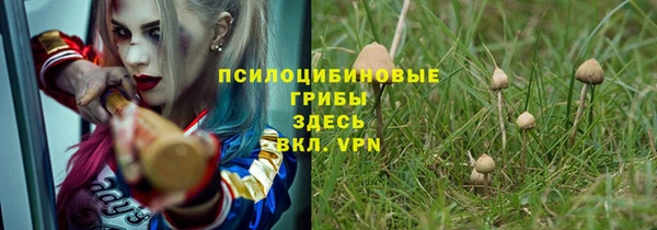 индика Каменск-Шахтинский