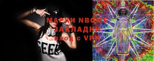 индика Каменск-Шахтинский