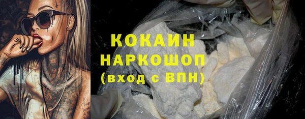 индика Каменск-Шахтинский